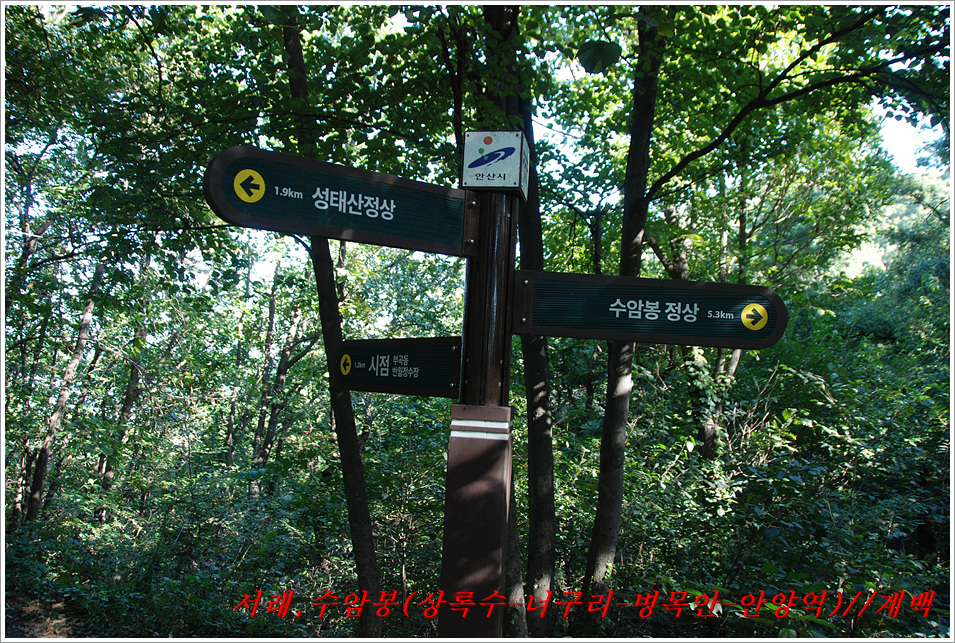 너구리산 이미지