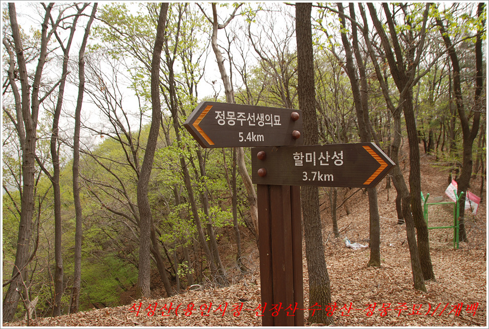 향수산 정상 이미지