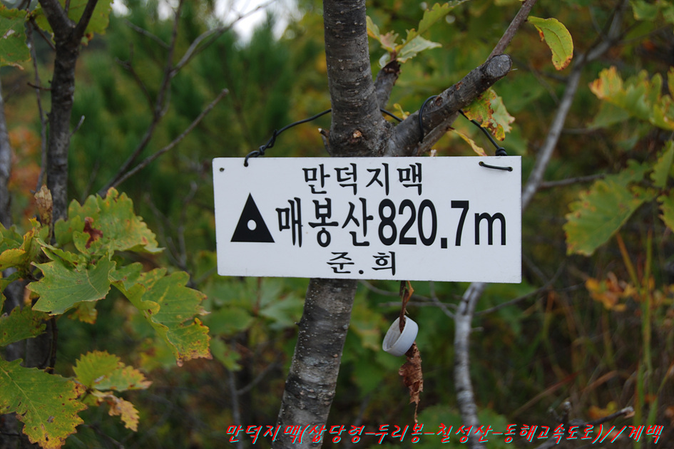 두리봉 이미지