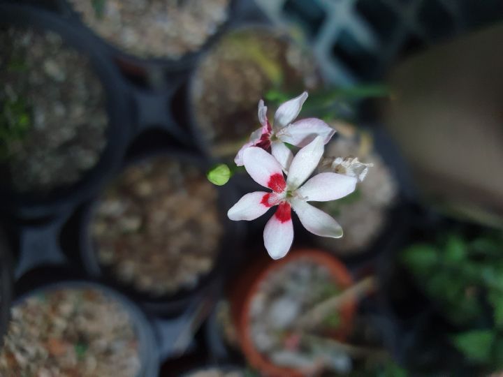 프리지 이미지