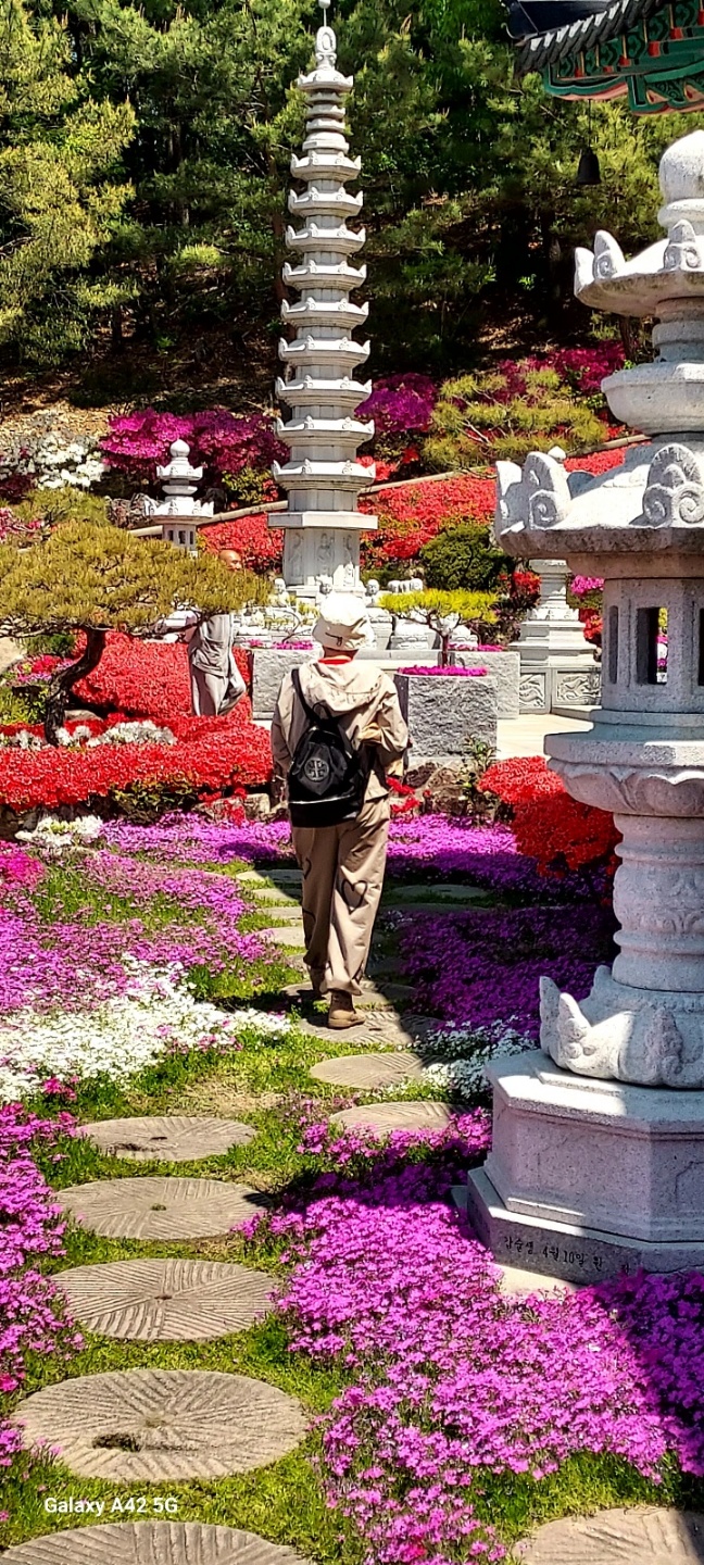 금강사 이미지