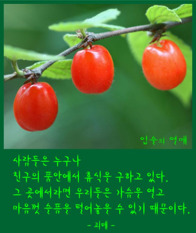 우정유통 이미지
