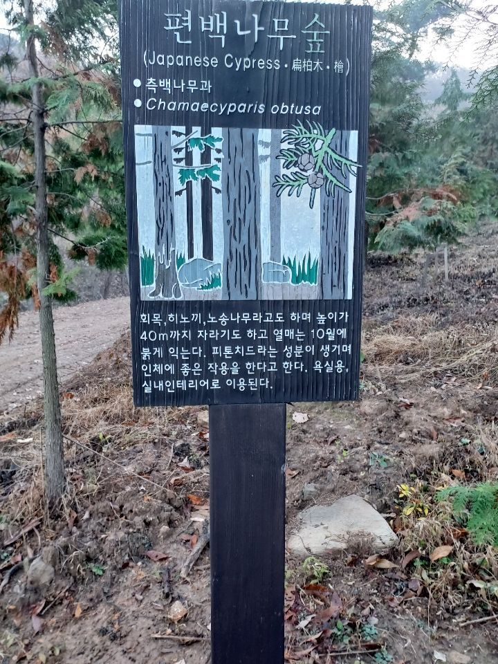 공주산림휴양마을 이미지