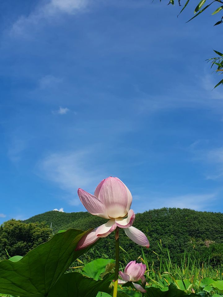 명가식품 이미지