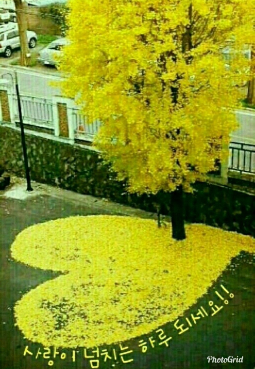 소중한 당신에게 이미지