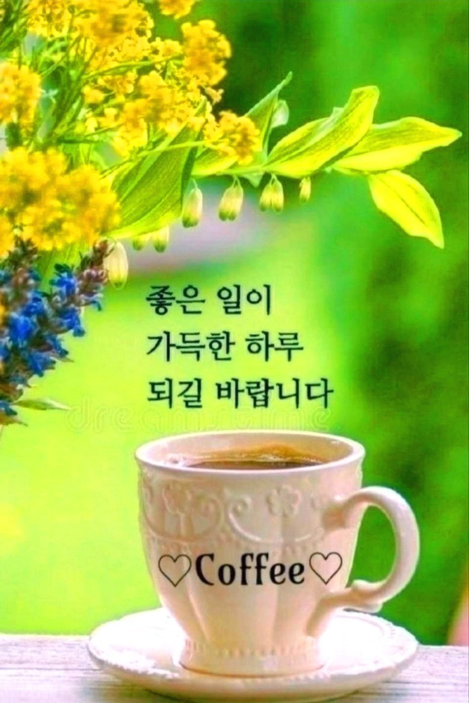 행복꽃 이미지