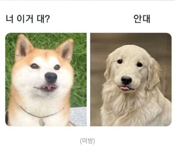 아 이미지