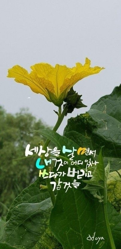 건강한하루 이미지