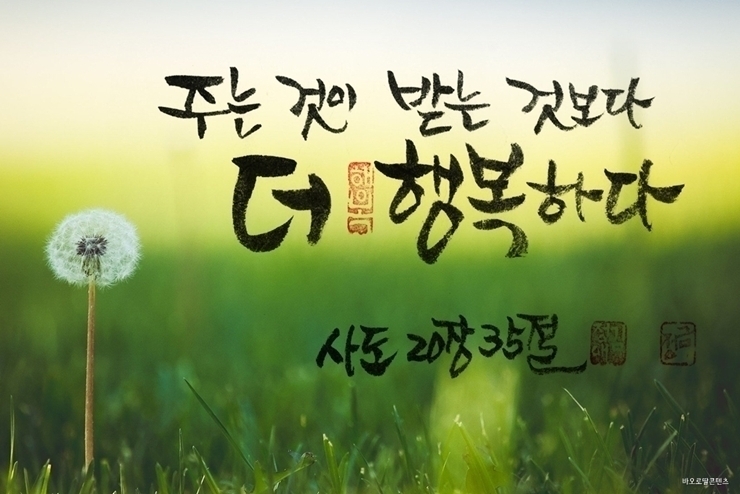 터진만두 이미지