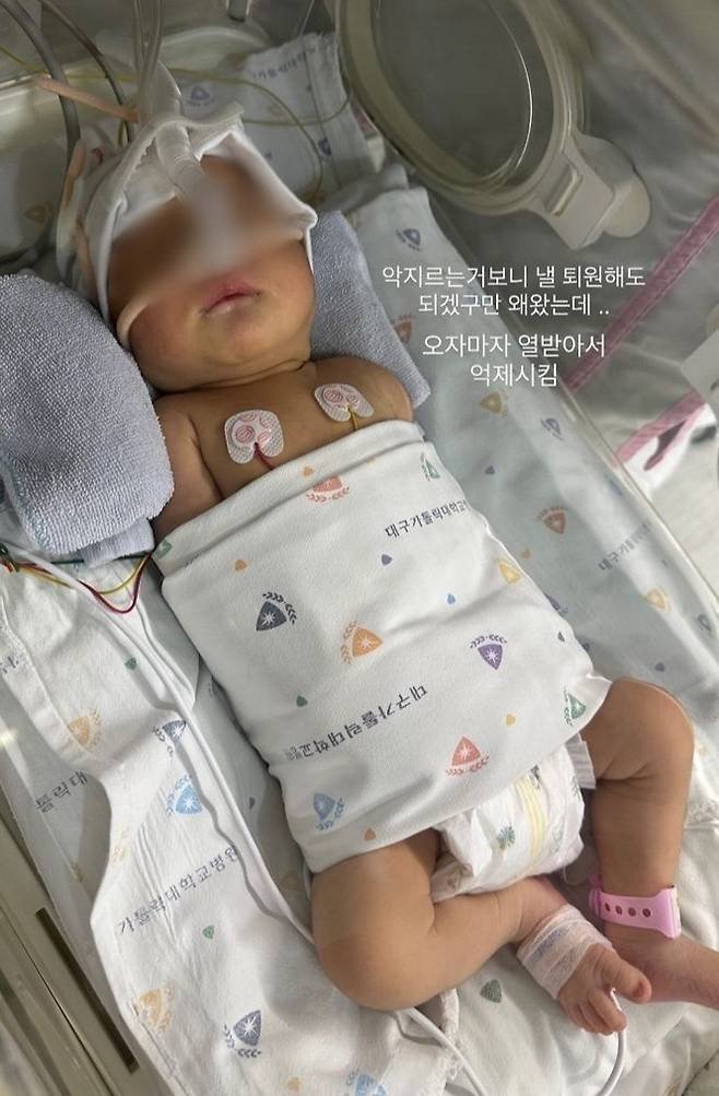 혼 이미지