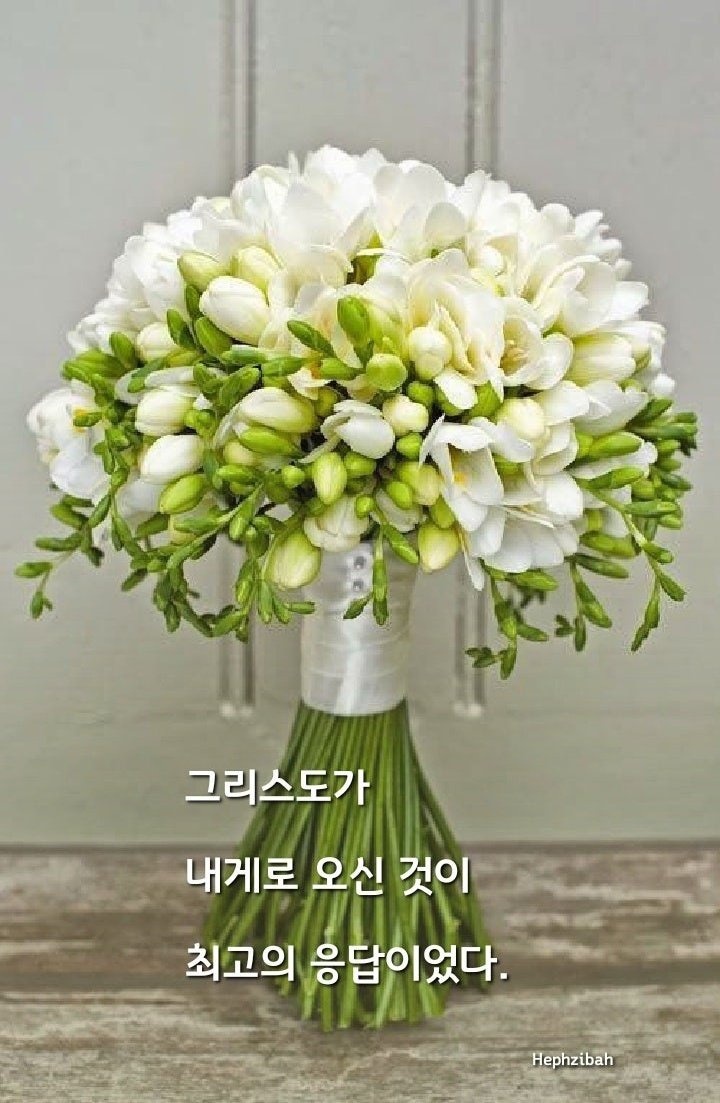 스타치과 이미지