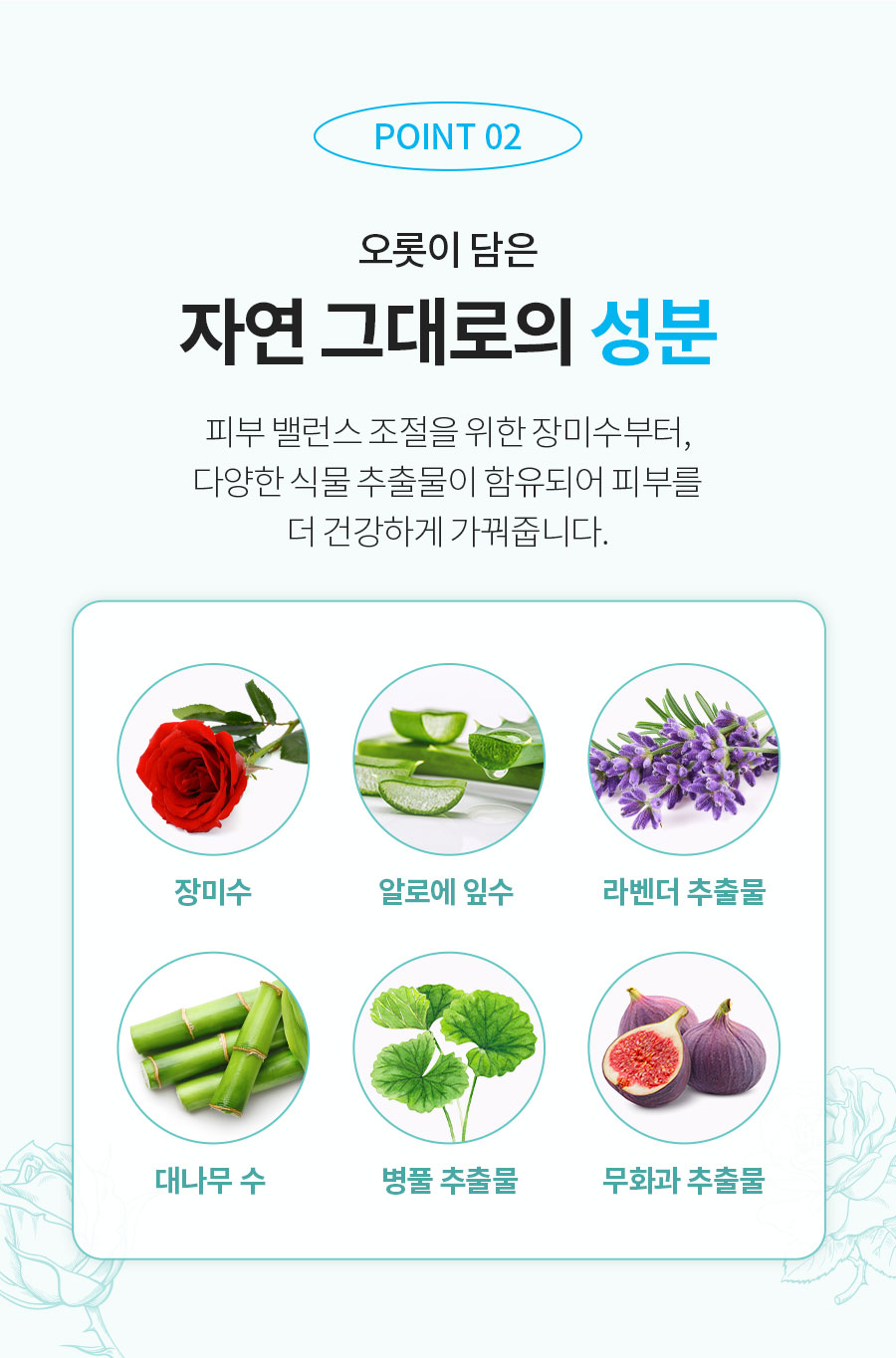 로즈레인 이미지