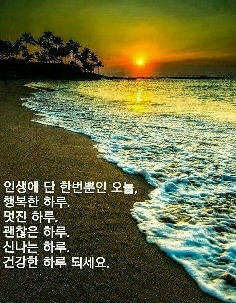 삶 이미지