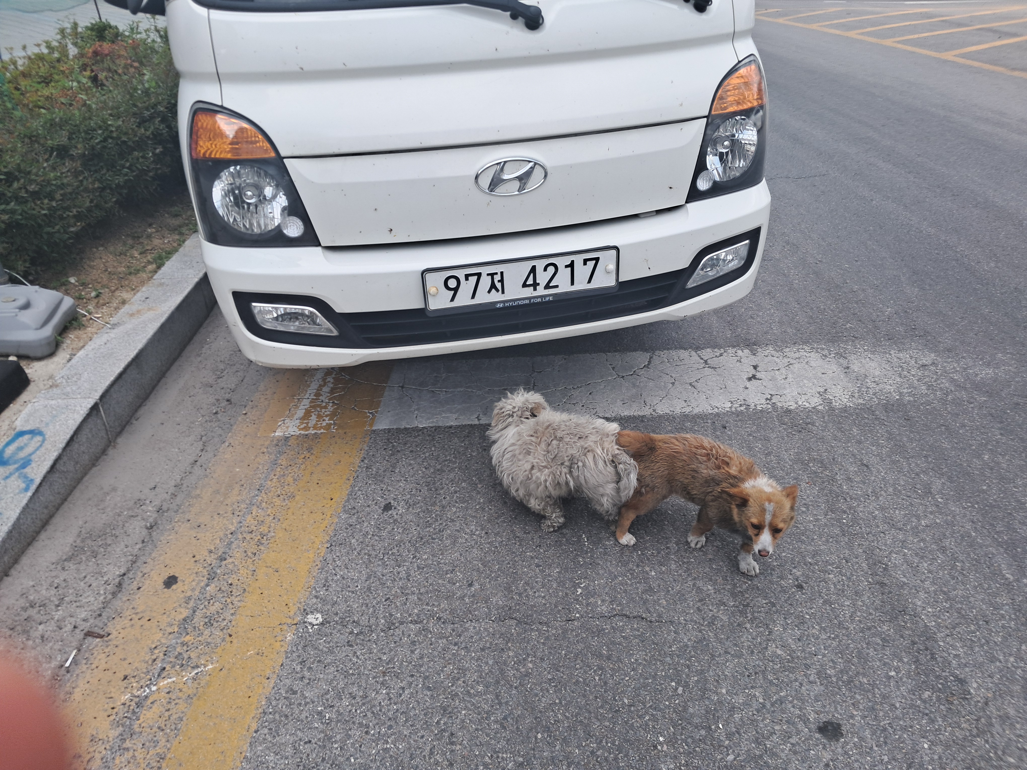 삼거리 이미지