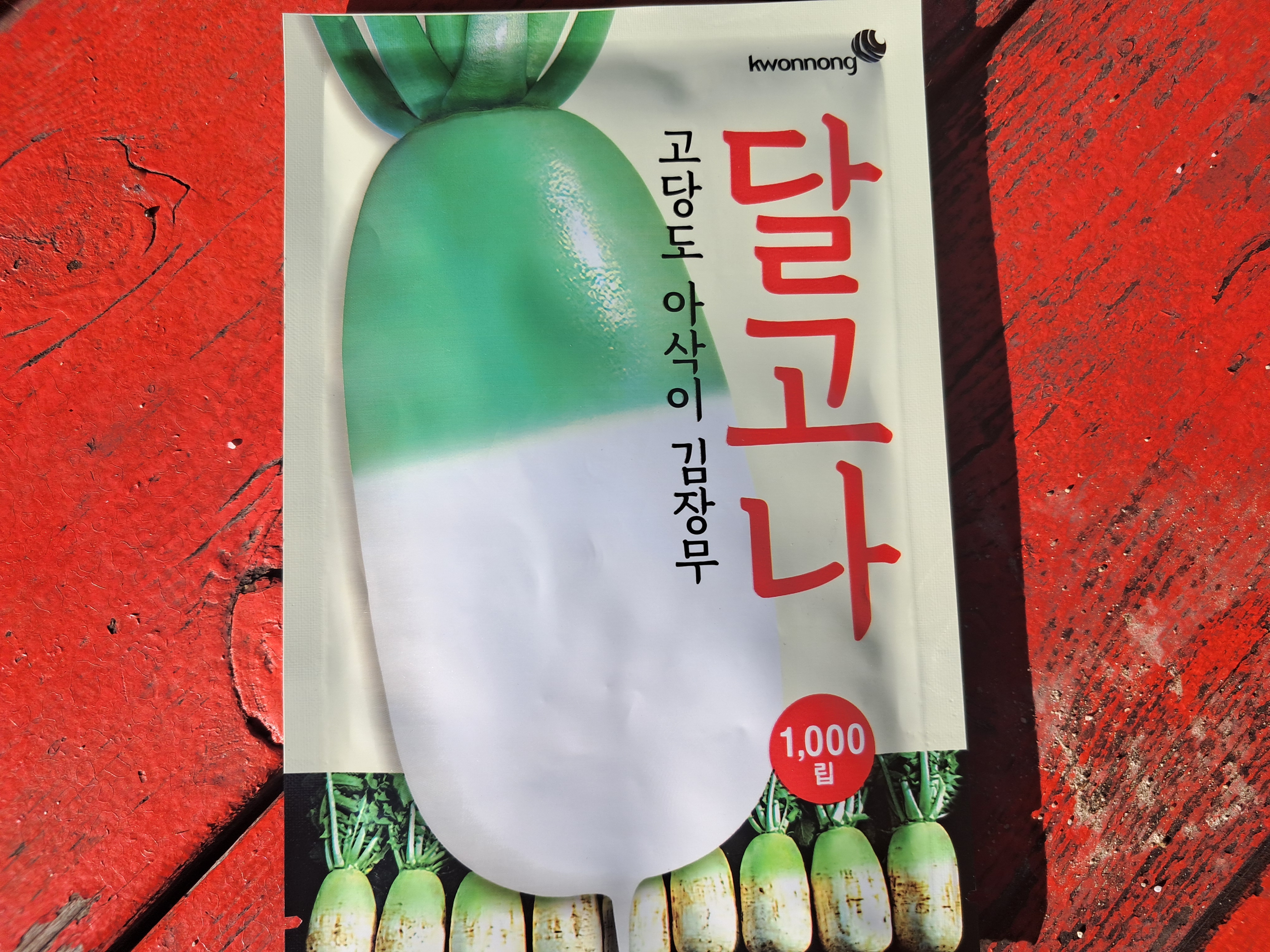 무씨 이미지