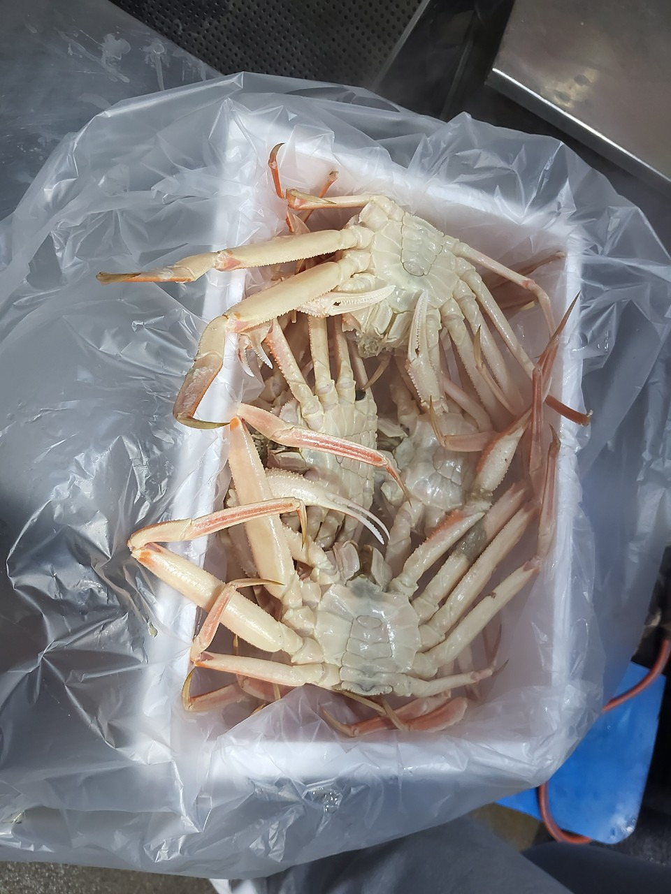 여행전문가 이미지