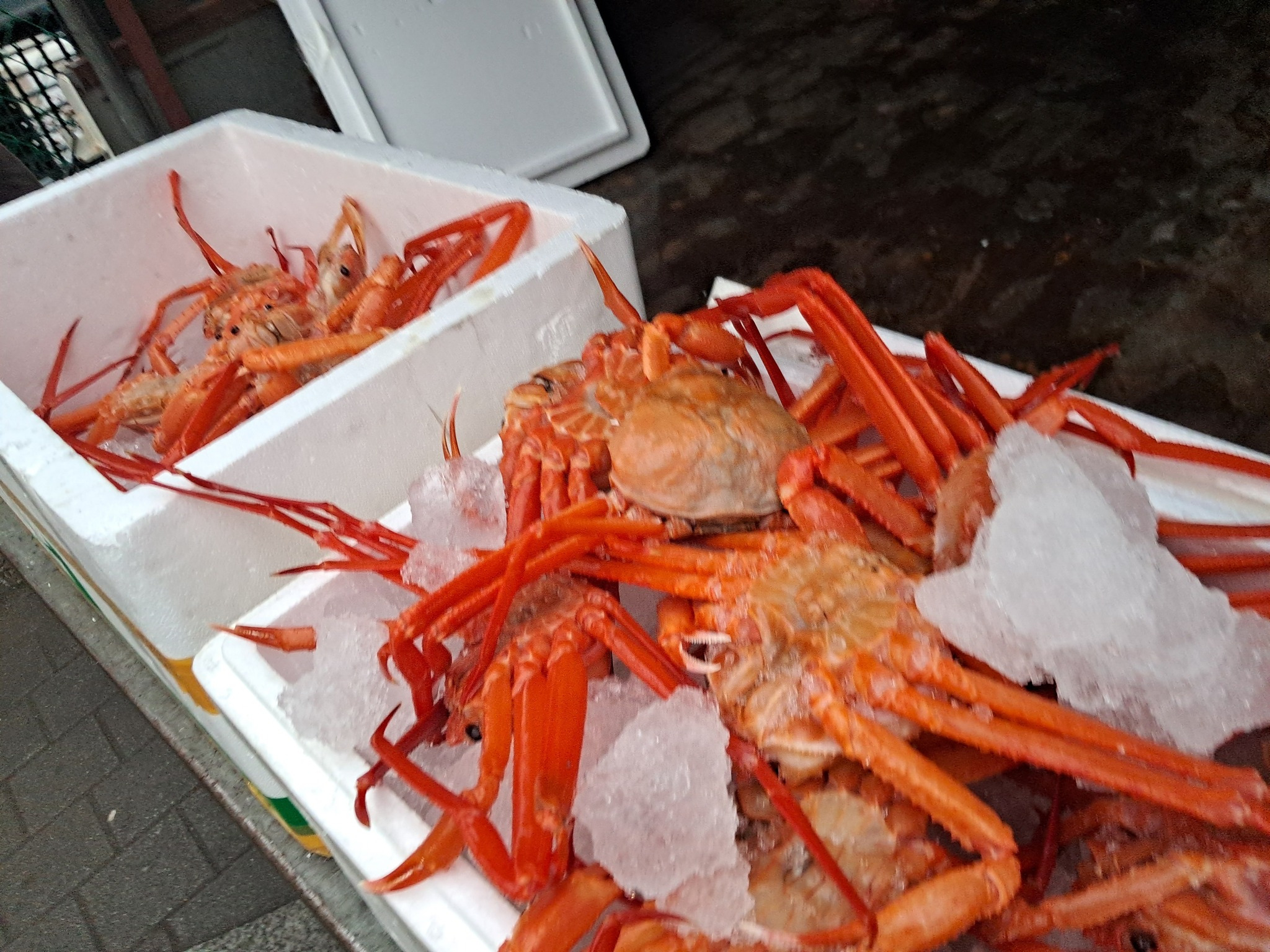 옛고당 이미지
