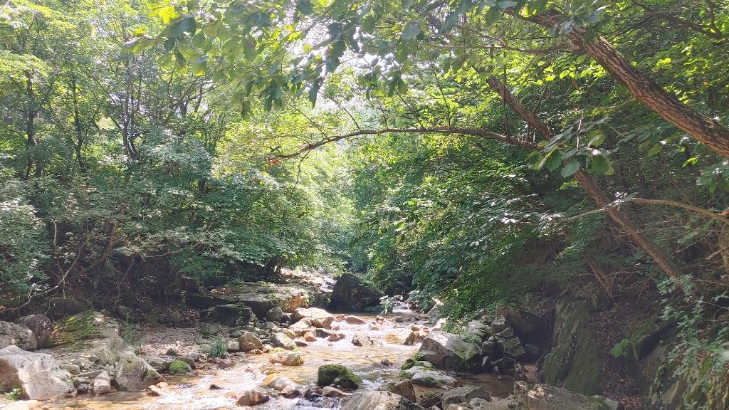 산정식당 이미지