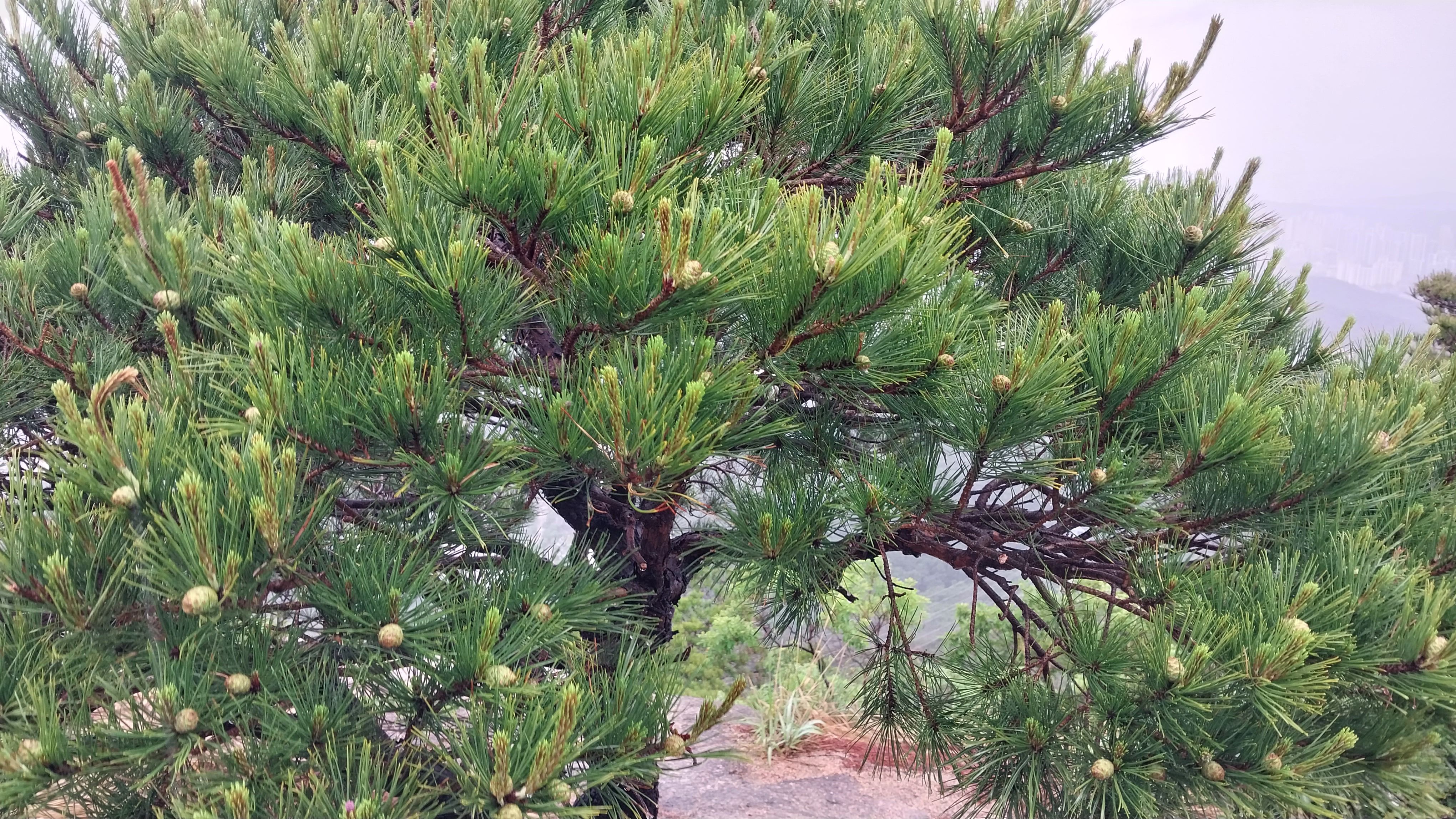 진관근린공원 이미지