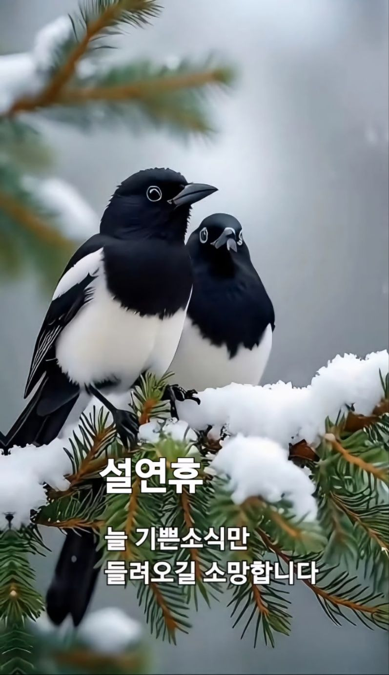 청림 이미지