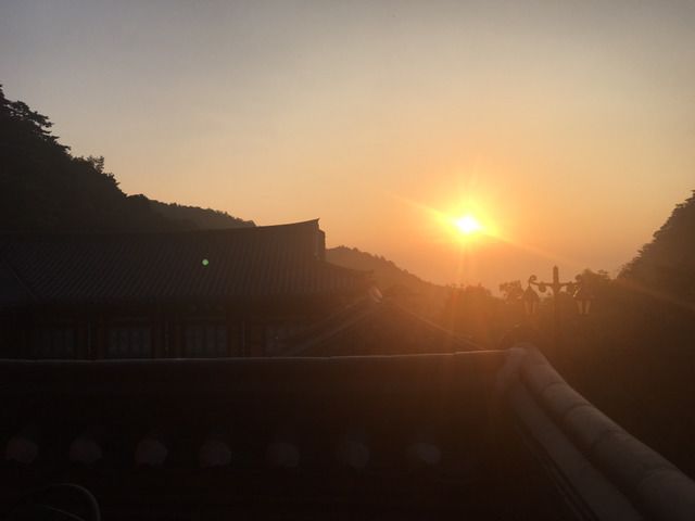 햇살 이미지