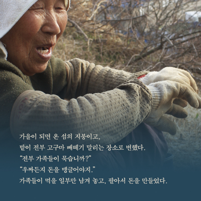 통영이야기 이미지
