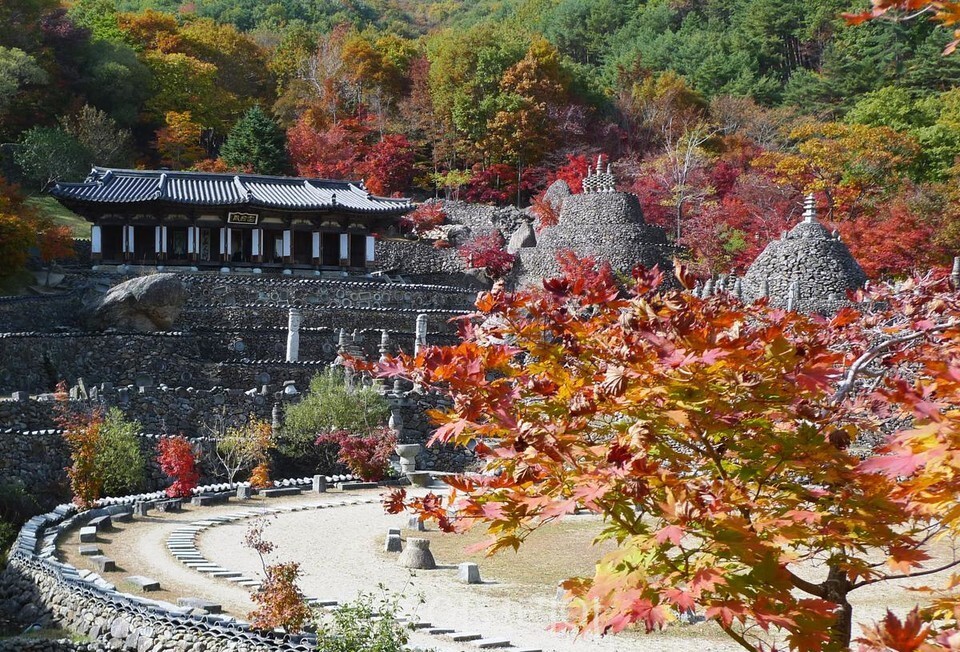 경남환경방역공사 이미지