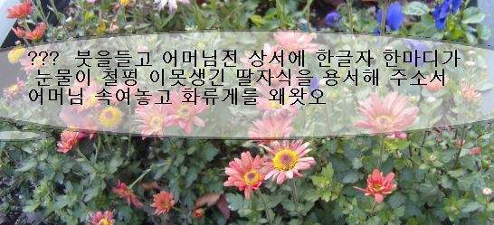 화류 이미지