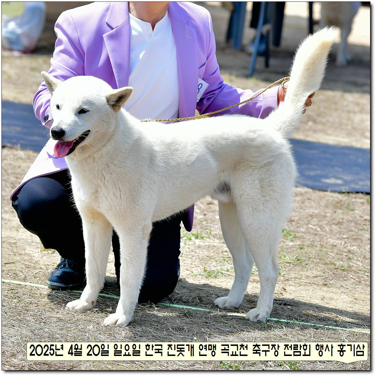 수컷 이미지