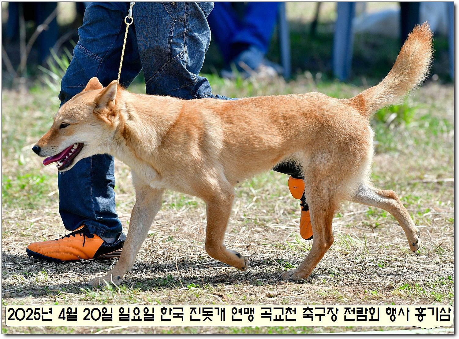 성웅 이미지