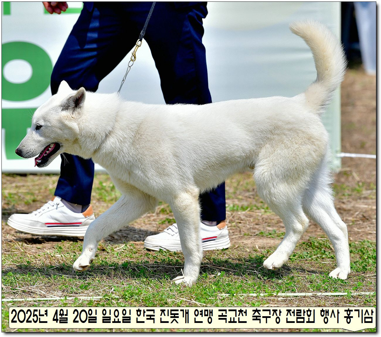 수컷 이미지