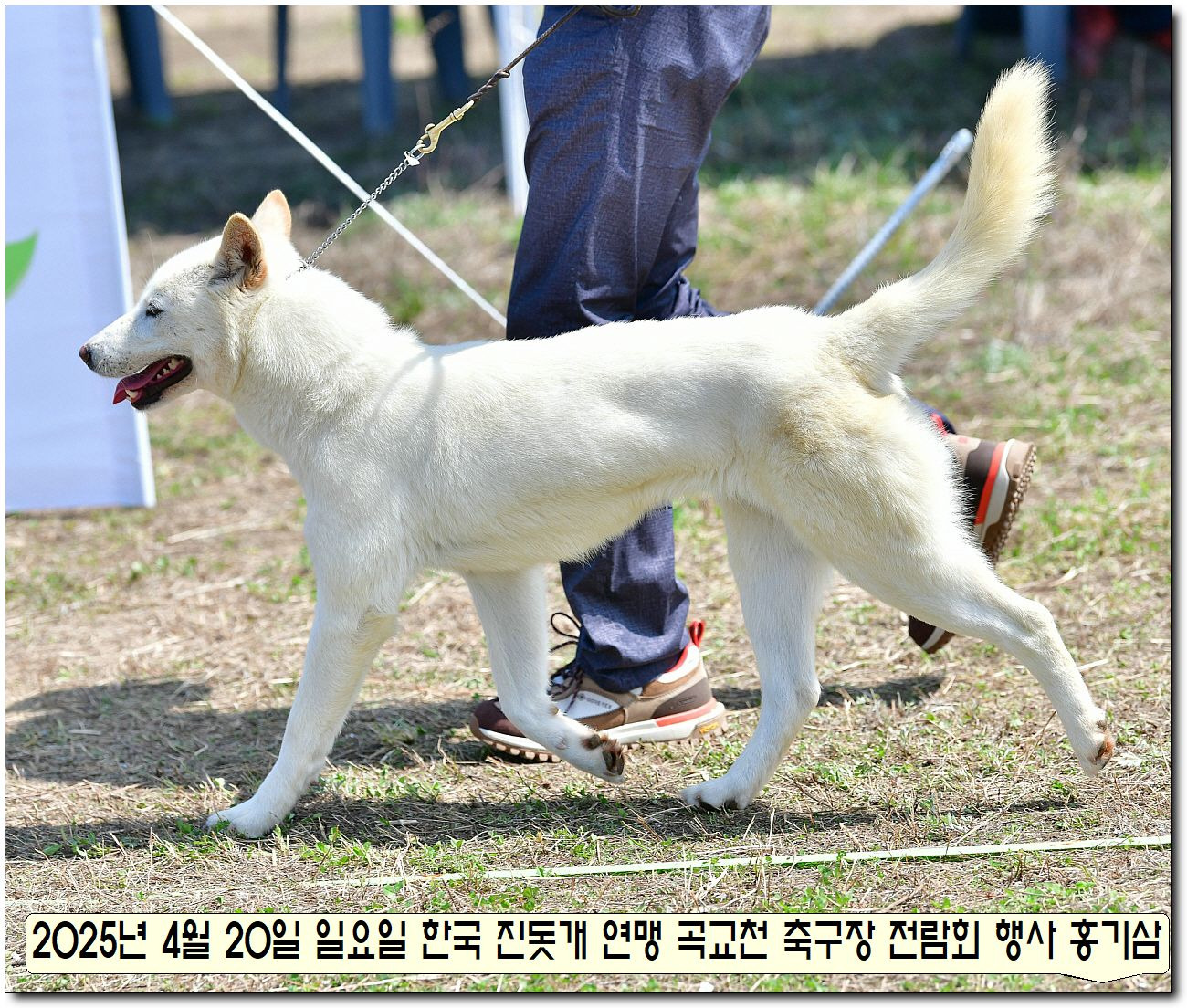 성웅 이미지