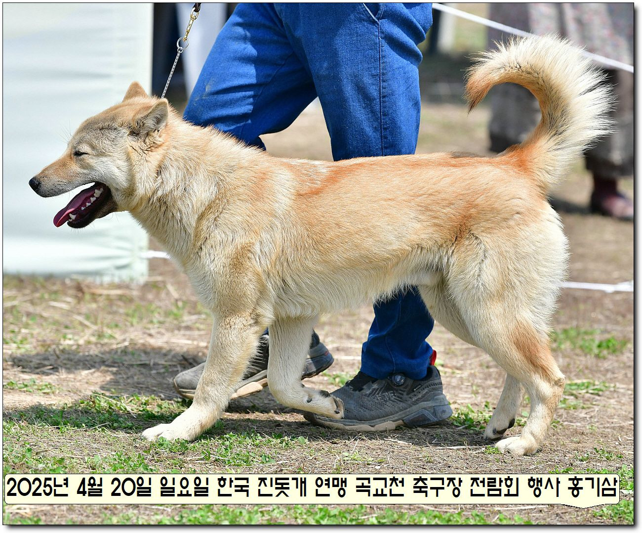 수컷 이미지