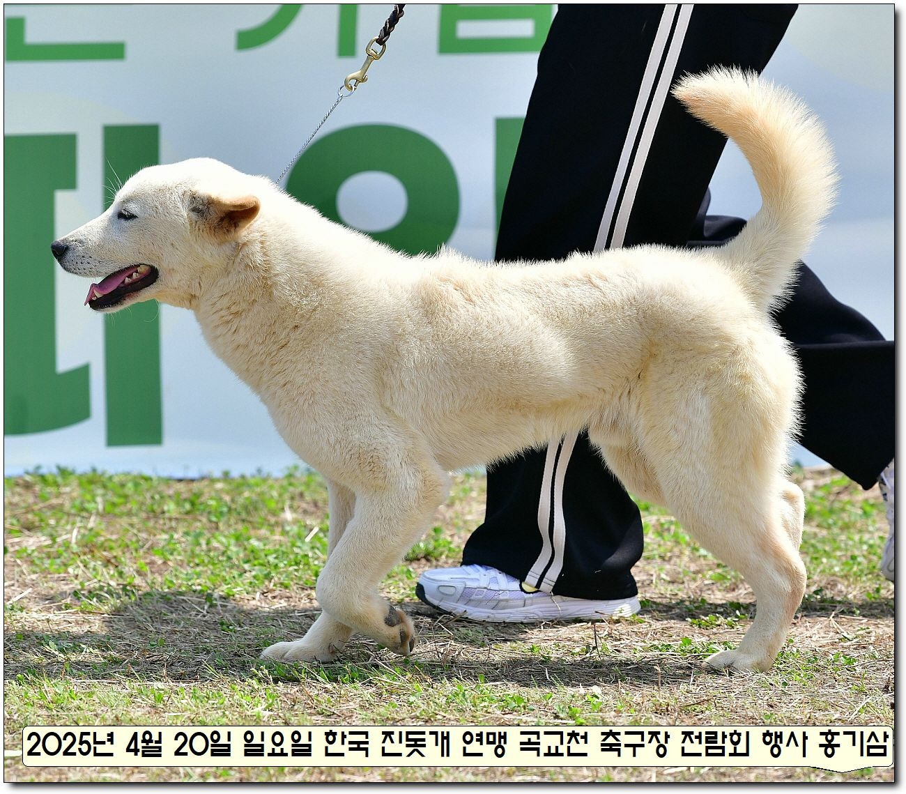 수컷 이미지
