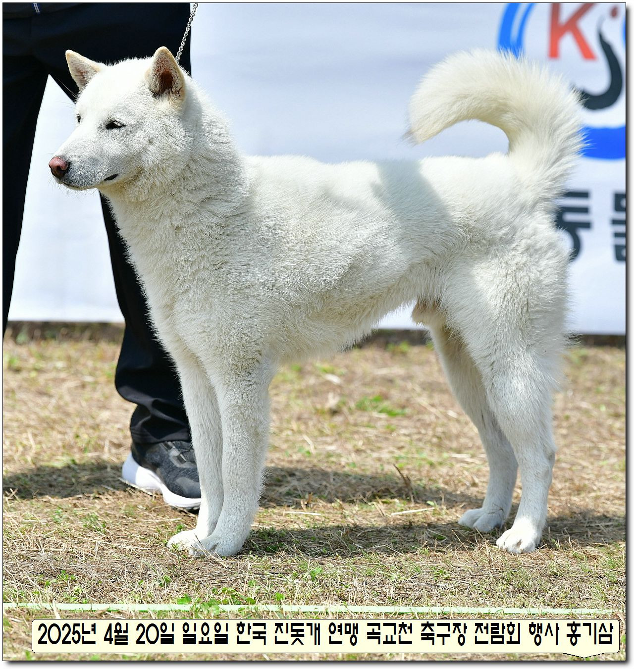 수컷 이미지