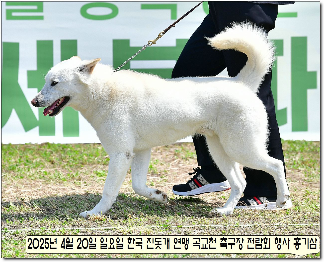 성웅 이미지