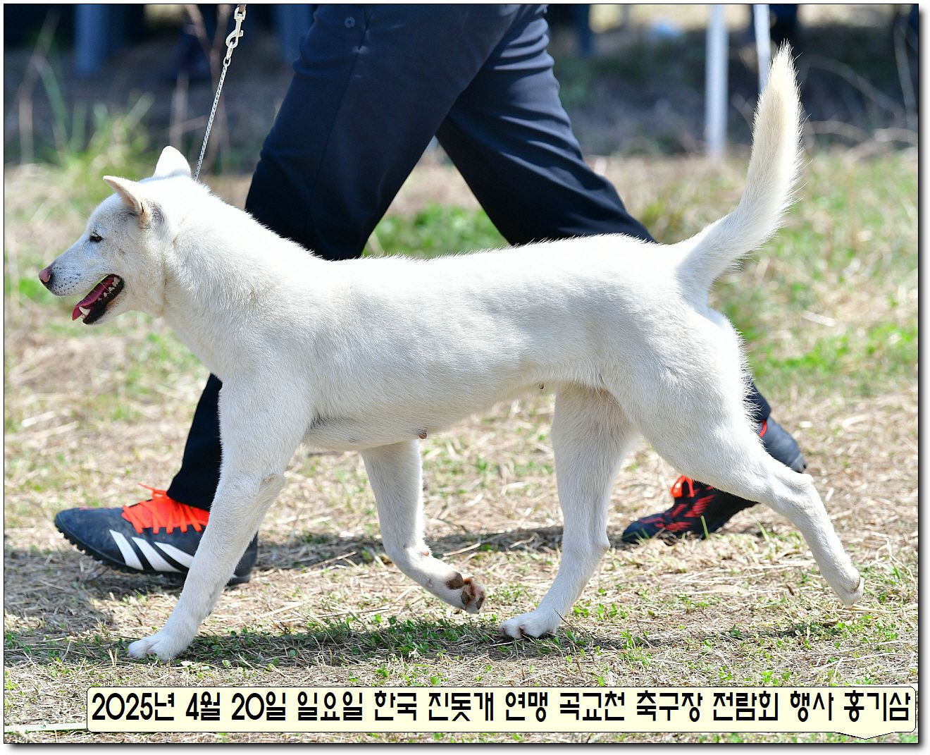 성웅 이미지