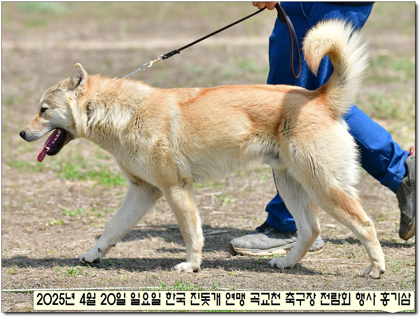 수컷 이미지