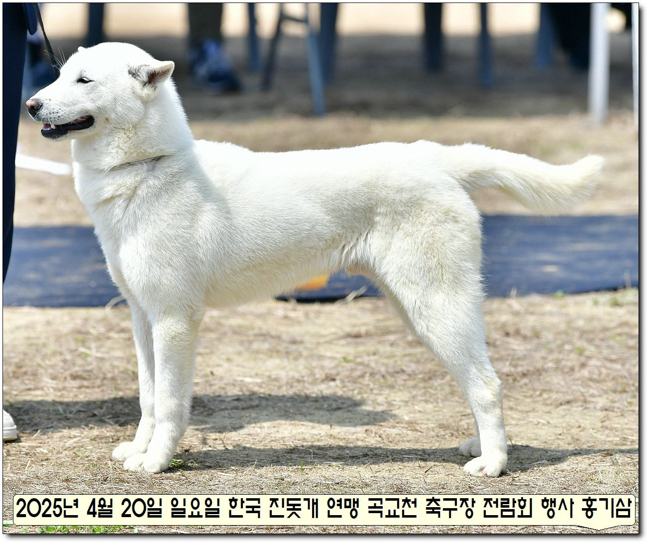 수컷 이미지