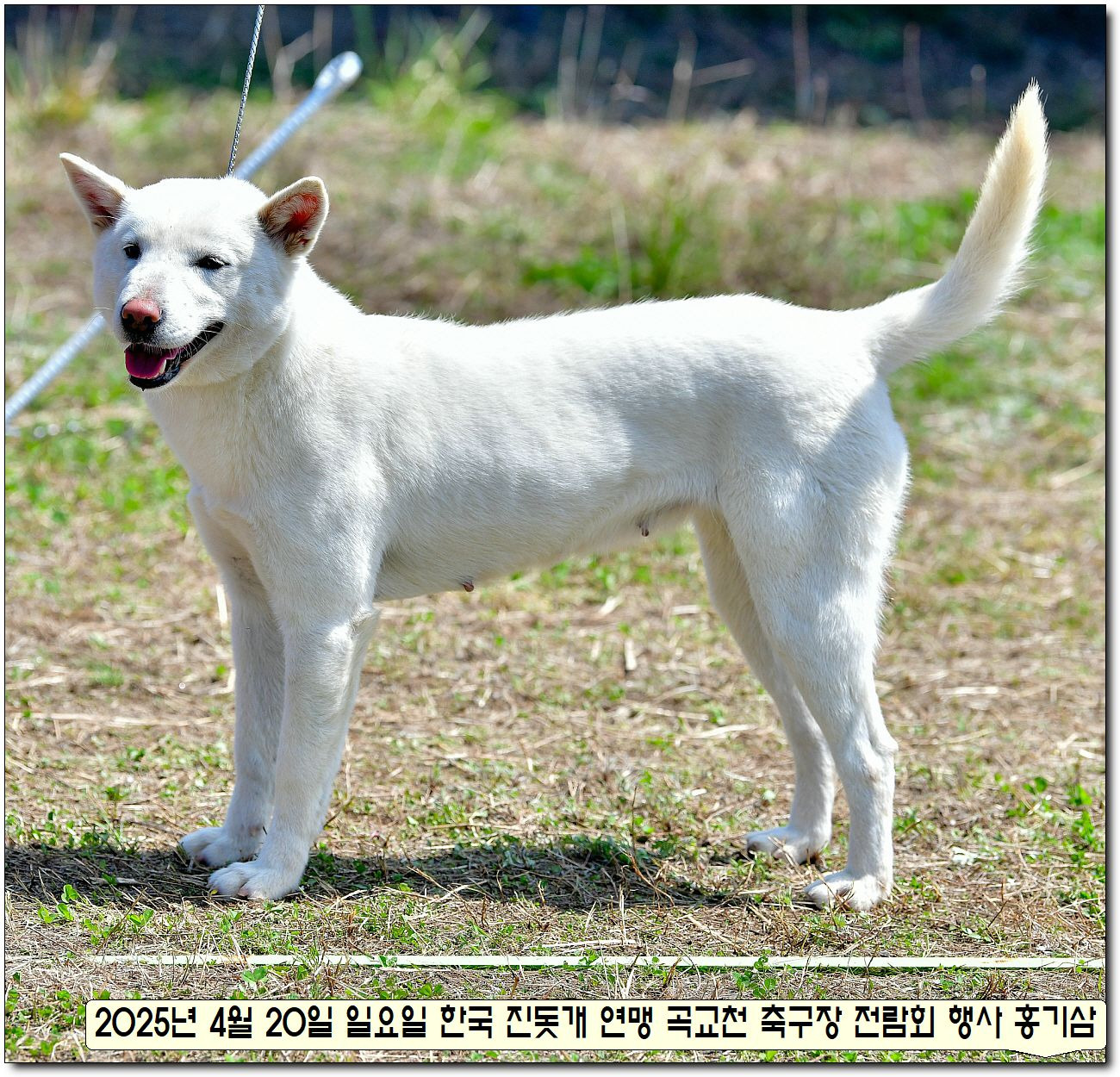 성웅 이미지