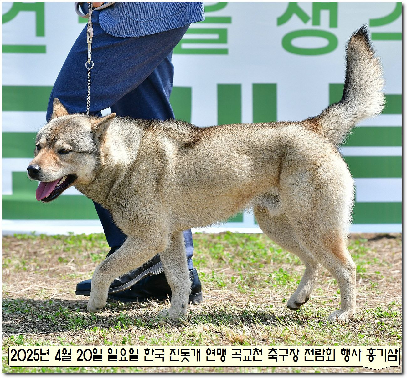 수컷 이미지