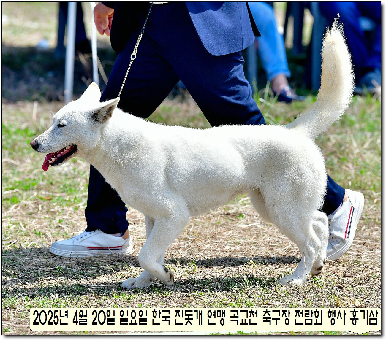 성웅 이미지