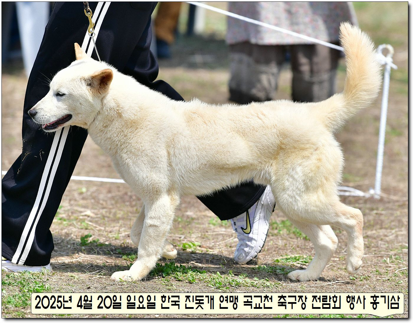 수컷 이미지