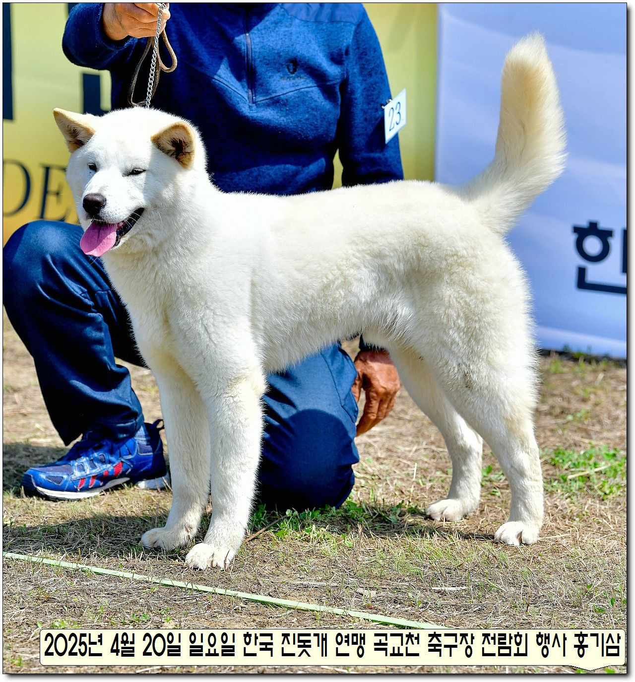 수컷 이미지