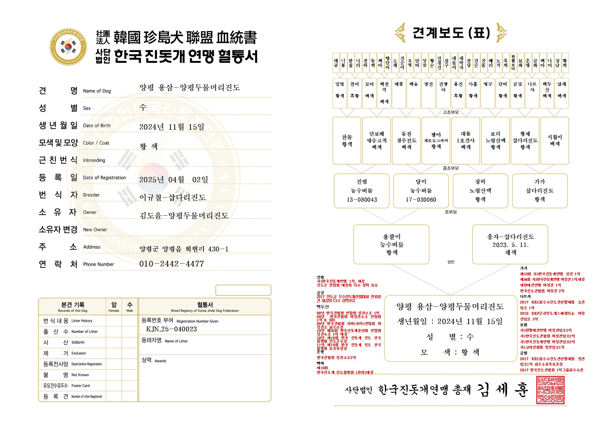 용삼 이미지