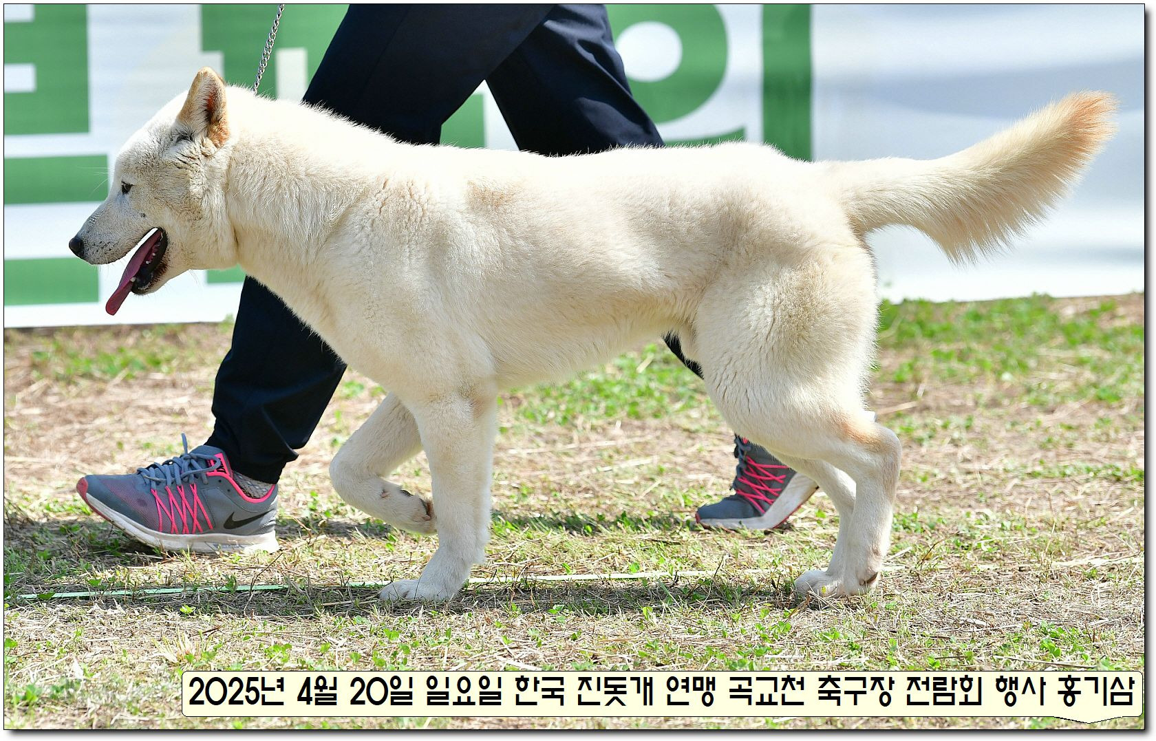 성웅 이미지
