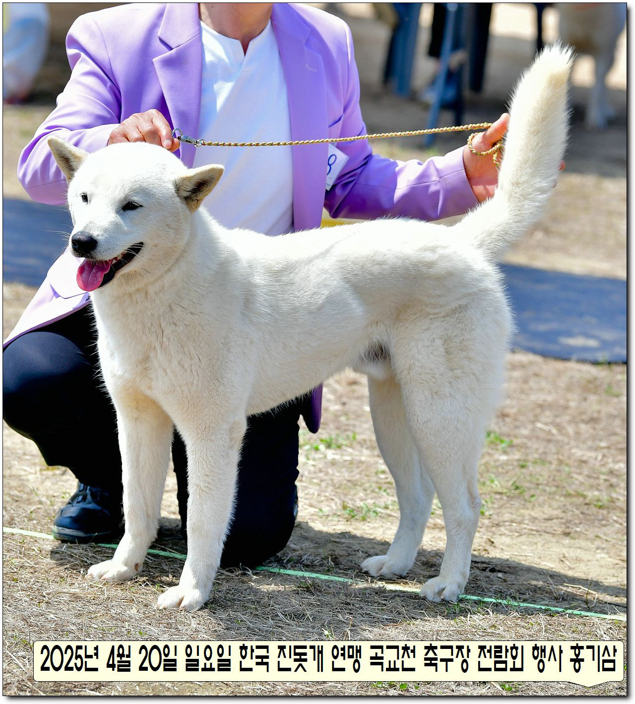 수컷 이미지