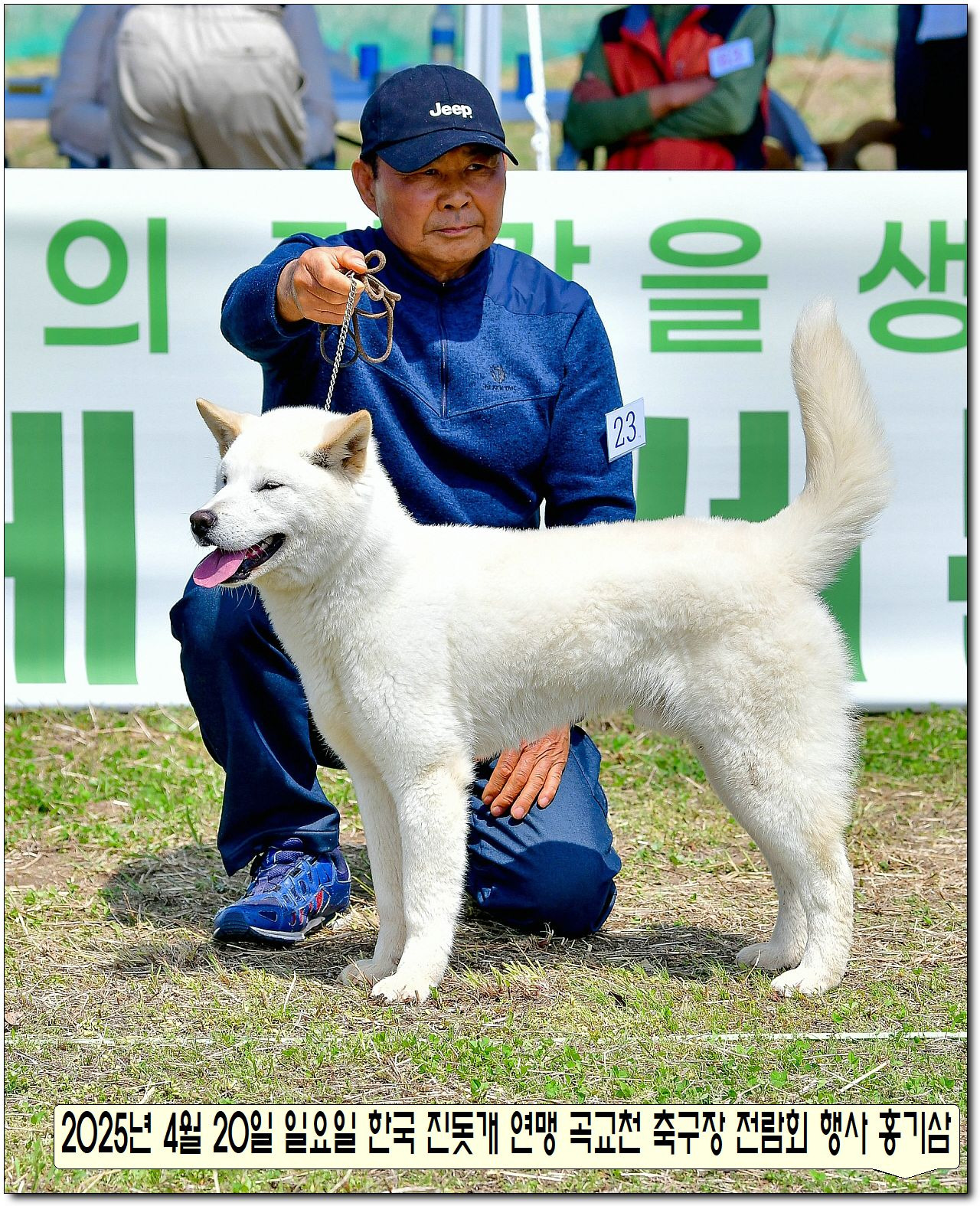 수컷 이미지