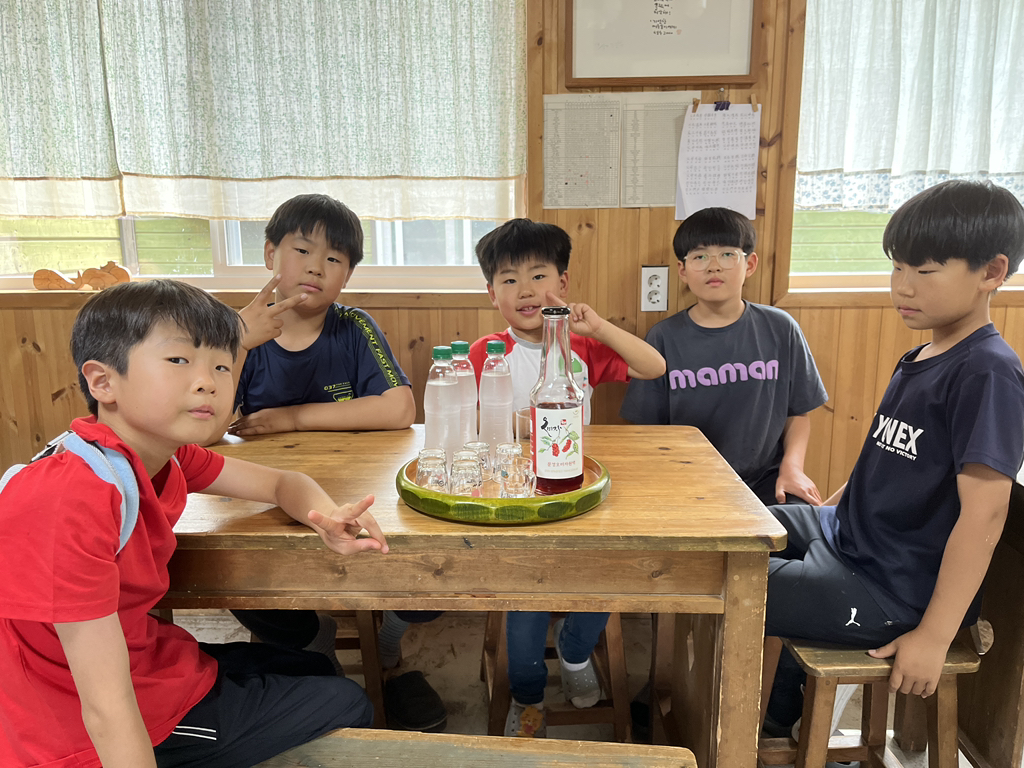마카모디 이미지