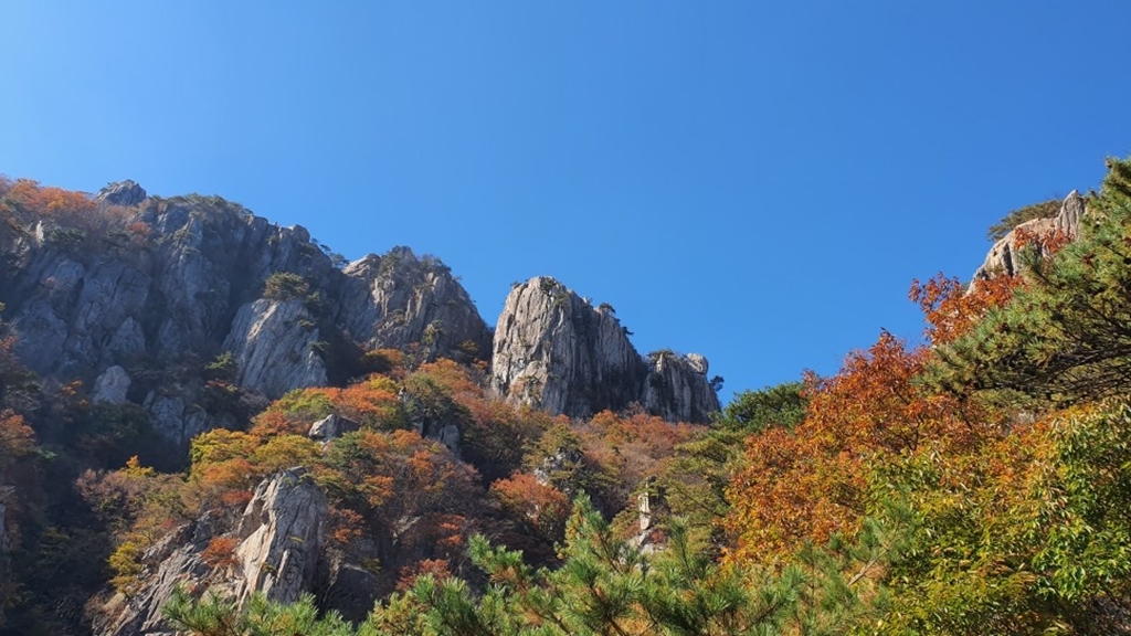대둔산 이미지